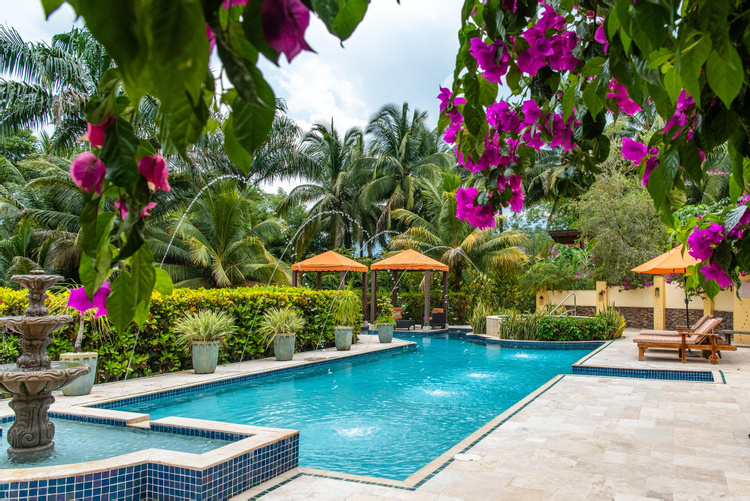 Sleeping Giant Rainforest Lodge photo