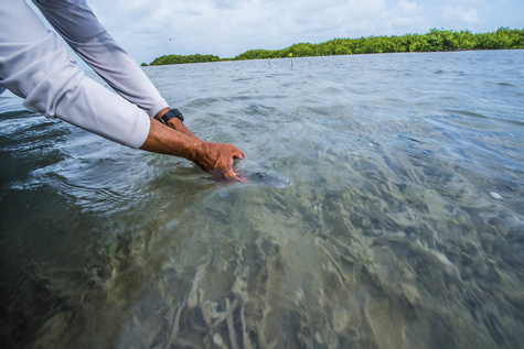 Amazing Fishing Experience