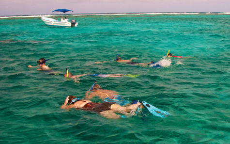 Amazing Snorkeling Tour
