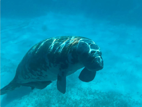 Full Day Snorkeling Experience 