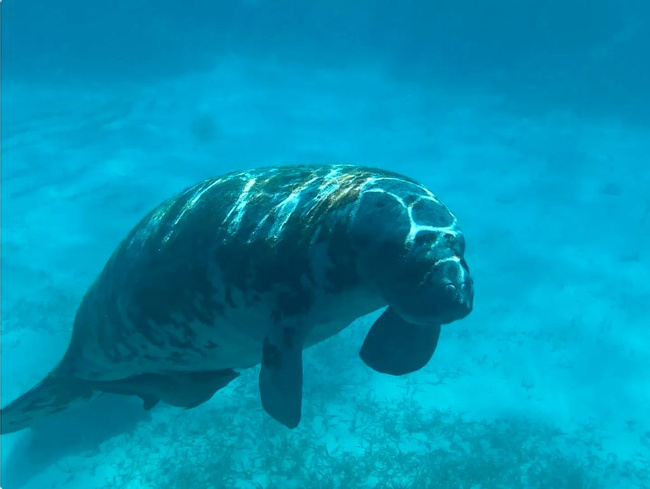 Full Day Snorkeling Experience  Photo