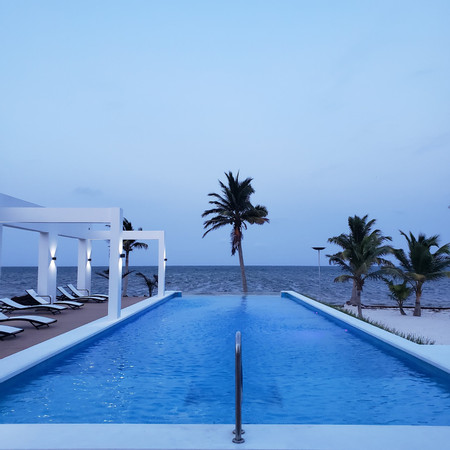Blue Zen photo 3