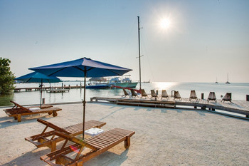 Iguana Reef Inn photo 4