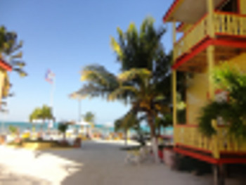 Tropical Paradise Hotel  photo 4