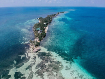 Thatch Caye Resort photo 4