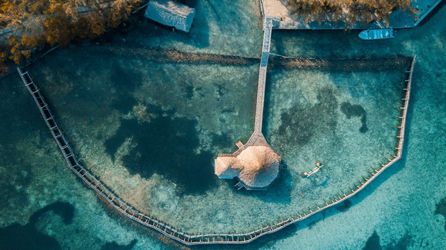Thatch Caye Resort photo