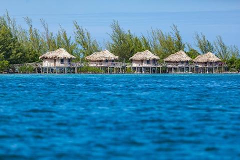 Thatch Caye Resort