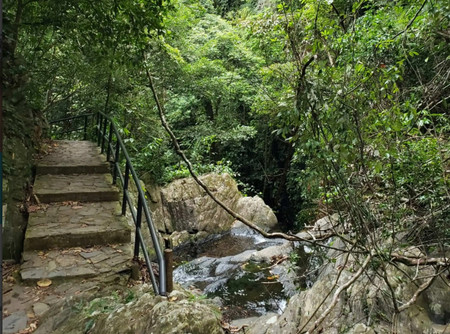 Amazing ATV and Waterfall Swim Adventure photo 3