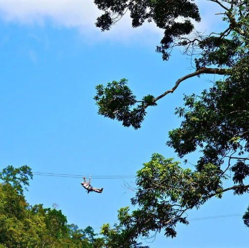 Amazing Jungle Zipline Photo