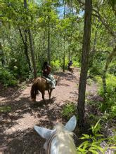 Jungle Horseback Photo