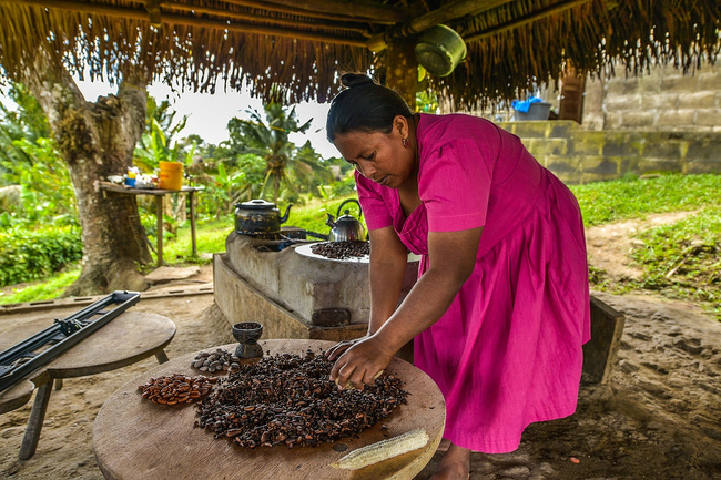 Maya Chocolate Tour Adventures Photo