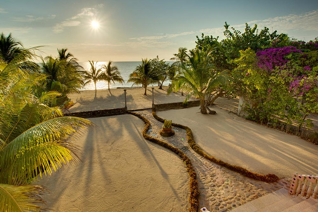 Coconut Row photo