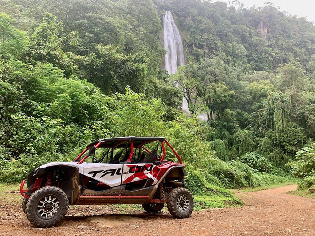 ATV Jungle (45 Minutes)