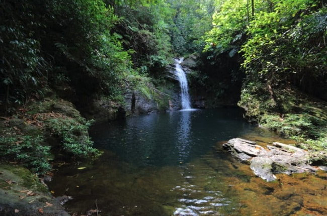 Cockscomb Basin Wildlife Sanctuary & Jaguar Preserve Photo