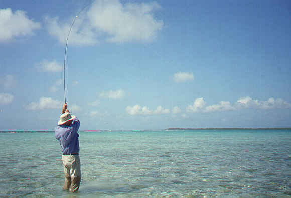 Fly Fishing Experience Photo