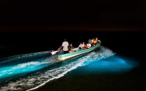 Garifuna Drumming and Bioluminiscence River Tour (night)