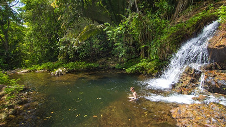 Mayflower Zip Lining & Waterfall Adventure photo 2