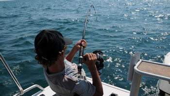 Outer Reef & Deep-Sea Fishing Adventure photo 2