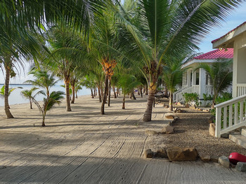 Ceiba Beach photo 4