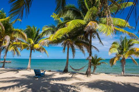 Green Parrot Beach Houses