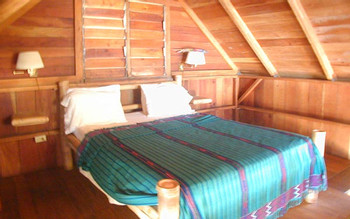 Green Parrot Beach Houses photo 3