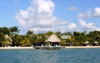 Green Parrot Beach Houses photo 4