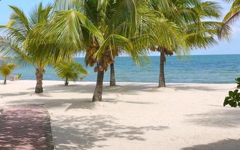 Green Parrot Beach Houses Belize