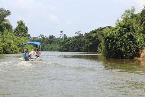 Monkey River Tour