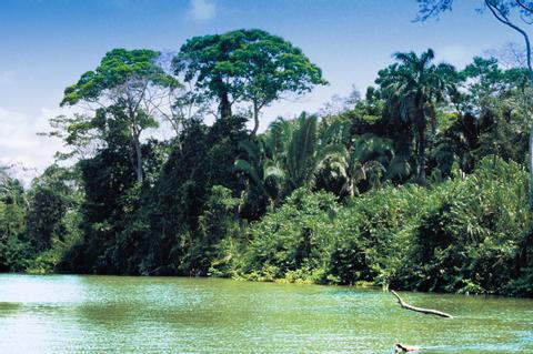Monkey River Wildlife Adventure