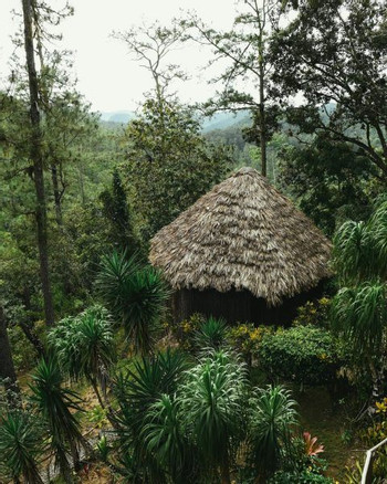 Gaia Riverlodge photo 3