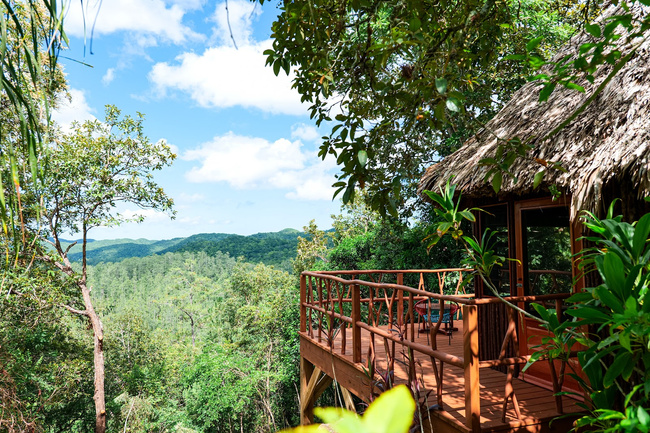 Gaia Riverlodge Photo