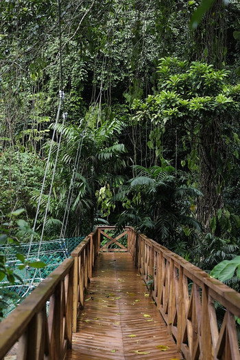 Jade Jungle Resort photo 5