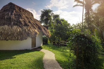 Jade Jungle Resort photo 3