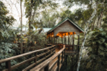 Sweet Songs Jungle Lodge - San Ignacio, Belize photo 4
