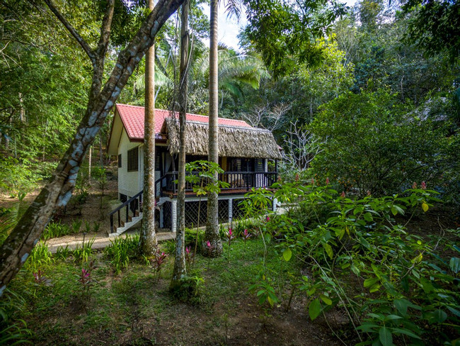 Table Rock Jungle Lodge photo