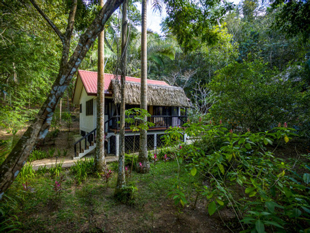 Table Rock Jungle Lodge