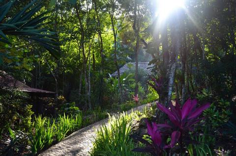 Table Rock Jungle Lodge Belize