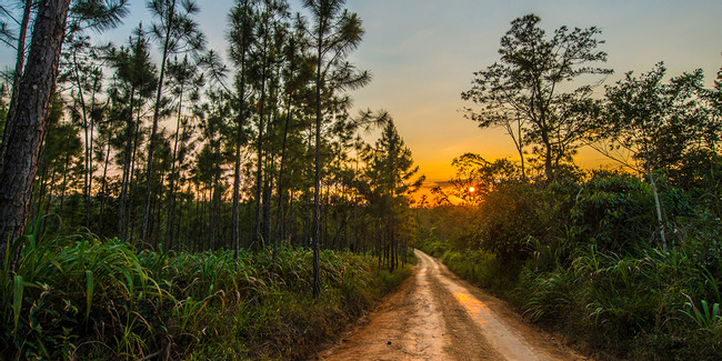 Birding Tour Experience - Full Day photo