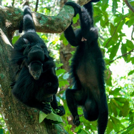 Belize Walking photo 3
