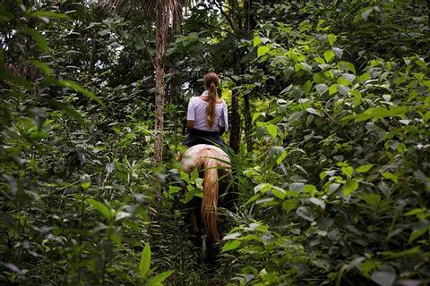 Mayan Heart Horseback Riding tour Belize