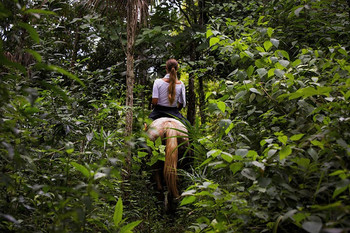 Horseback Tour Experience photo 2