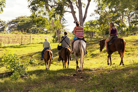 Horseback Tour Experience