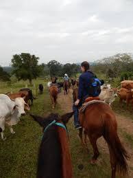 Mayan Heart Horseback Riding tour Belize