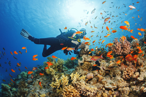 Caves, Snorkeling, and Sunset Sails
