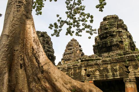Angkor Archaeological Park Cambodia