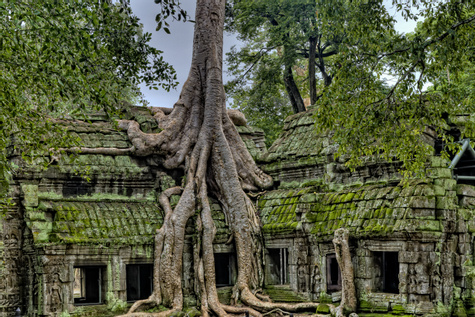 Siem Reap