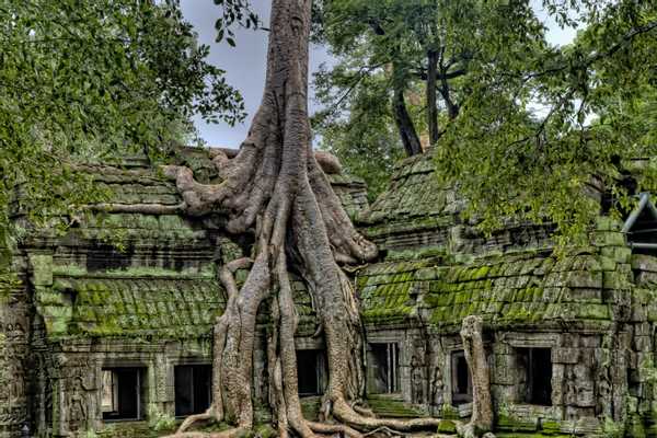 Angkor Quick Discovery, Cambodia