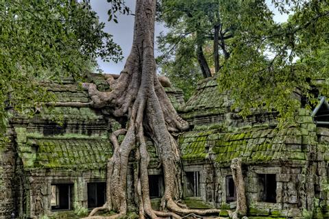 Angkor Quick Discovery Cambodia
