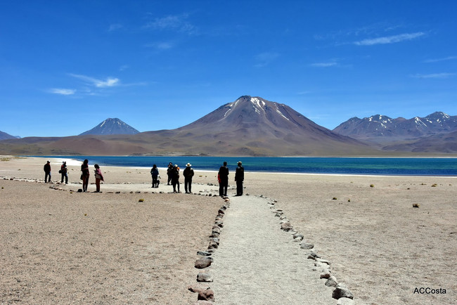 Altiplanic Lagoons