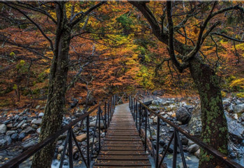 Hiking to Torres del Paine Base photo 4